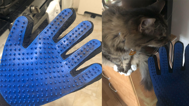 The gloves after one swipe through Jasper’s fur; Jasper inspecting the gloves.